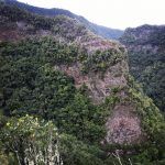 Marcos y Cordero - Los Tilos. De ruta