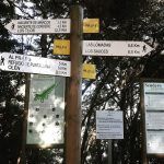 Marcos y Cordero - Los Tilos. De ruta