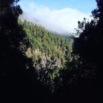 Marcos y Cordero - Los Tilos. De ruta