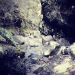 Marcos y Cordero - Los Tilos. De ruta