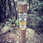 Marcos y Cordero - Los Tilos. De ruta