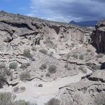 Reserva Ambiental de San Blas, Tenerife.