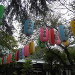 Descubre Tokio con Leodesinquieto