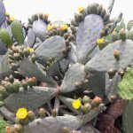 Visita al Parque El Montillo