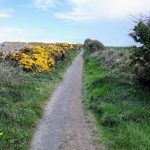 Lo mejor de Irlanda del Norte con Leodesinquieto