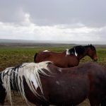 Lo mejor de Irlanda del Norte con Leodesinquieto