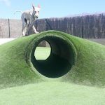 Mascots Resort. San Miguel de Abona, Tenerife