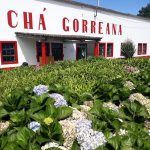 6 días en San Miguel (Azores) con Leodesinquieto