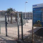 Las mejores actividades con Mascotas en Tenerife