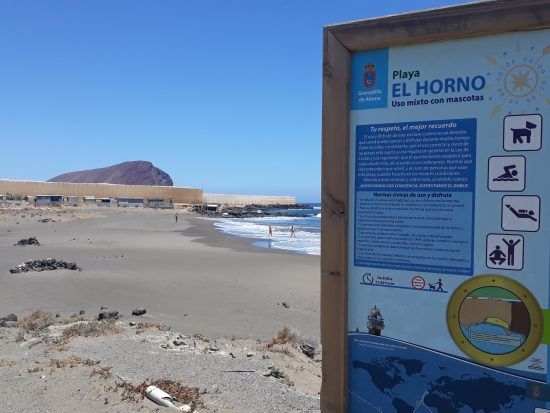 Las mejores actividades con Mascotas en Tenerife