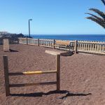 Las mejores actividades con Mascotas en Tenerife