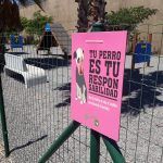 Las mejores actividades con Mascotas en Tenerife