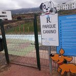 Las mejores actividades con Mascotas en Tenerife