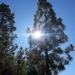 Paisaje Lunar de Tenerife: un regalo de la naturaleza