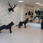 Arte y reciclaje. Museo Ruplares Fuerteventura