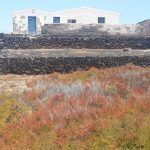 Vuelta al Islote de Lobos