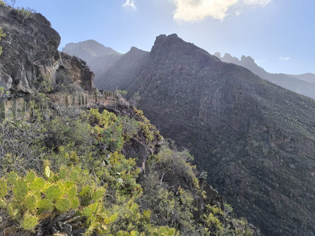 Barranco del infierno Adeje